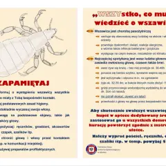 Ilustracja przedstawiająca wesz ludzką na jasnym tle.