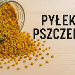 Pyłek pszczeli: Jak zażywać, by w pełni wykorzystać jego moc?