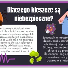 Jak zapobiec boreliozie? Kompletny przewodnik ochrony przed kleszczami