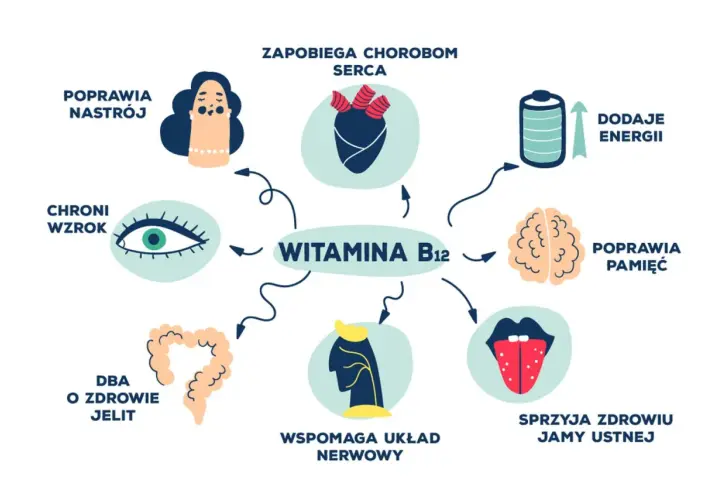 Niedobór witaminy B12: Ukryte przyczyny i grupy ryzyka