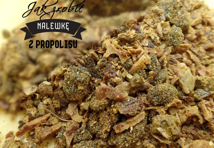 Jak zażywać propolis na spirytusie? Dawkowanie i bezpieczeństwo