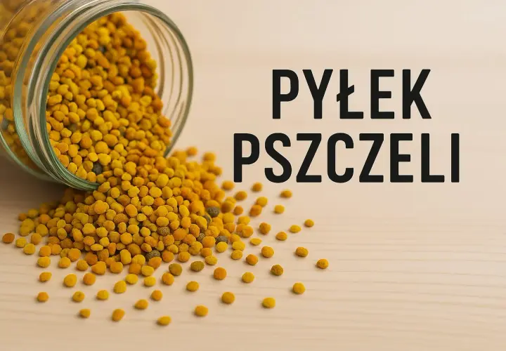 Pyłek pszczeli: Jak zażywać, by w pełni wykorzystać jego moc?