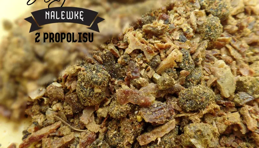 Jak zażywać propolis na spirytusie? Dawkowanie i bezpieczeństwo