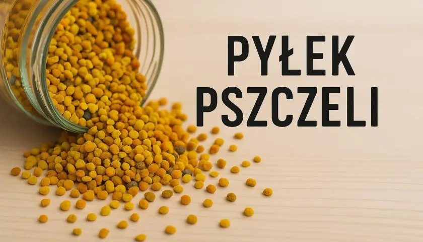 Pyłek pszczeli: Jak zażywać, by w pełni wykorzystać jego moc?