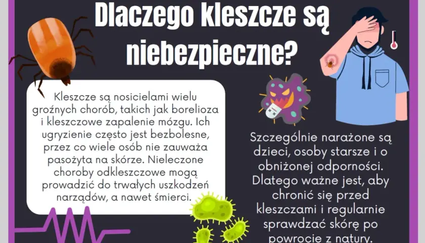 Jak zapobiec boreliozie? Kompletny przewodnik ochrony przed kleszczami