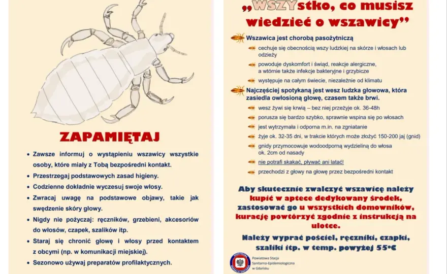 Wszawica: Spokój rodzica? Skuteczna profilaktyka krok po kroku
