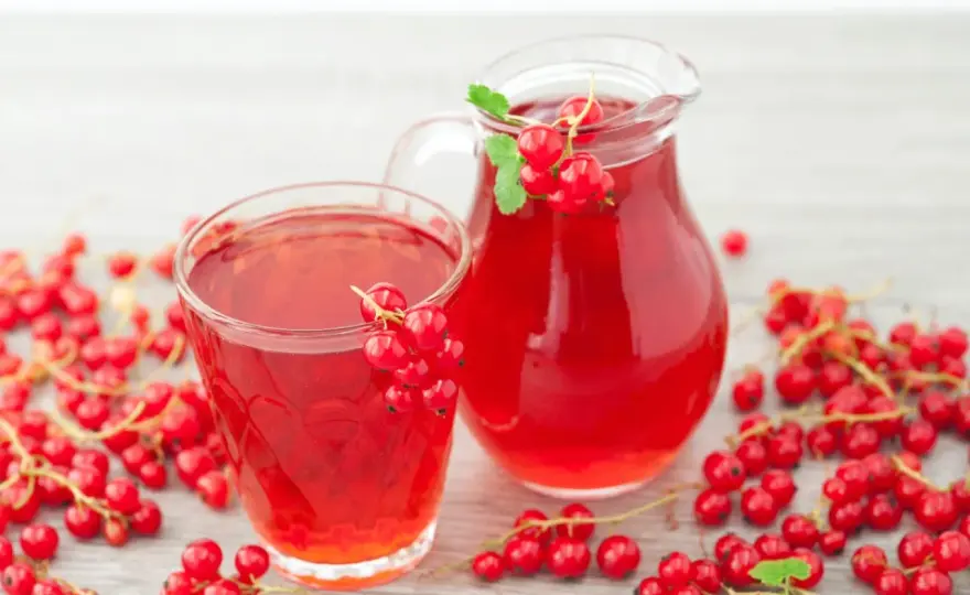 Kompot z porzeczek - prosty przepis na lekki, aromatyczny napój