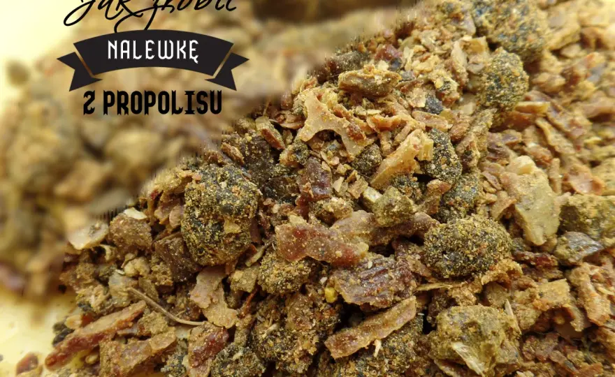 Jak zażywać propolis na spirytusie? Dawkowanie i bezpieczeństwo