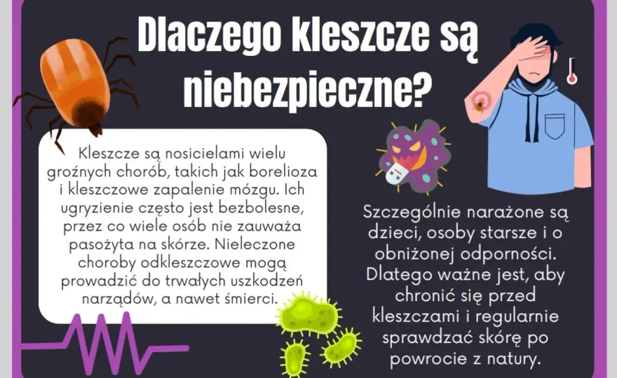 Jak zapobiec boreliozie? Kompletny przewodnik ochrony przed kleszczami