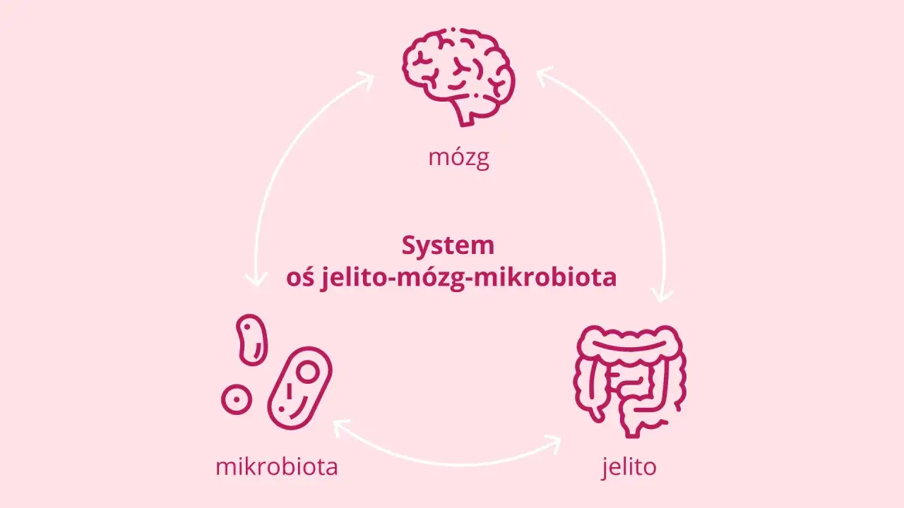 Oś jelito-mózg schemat