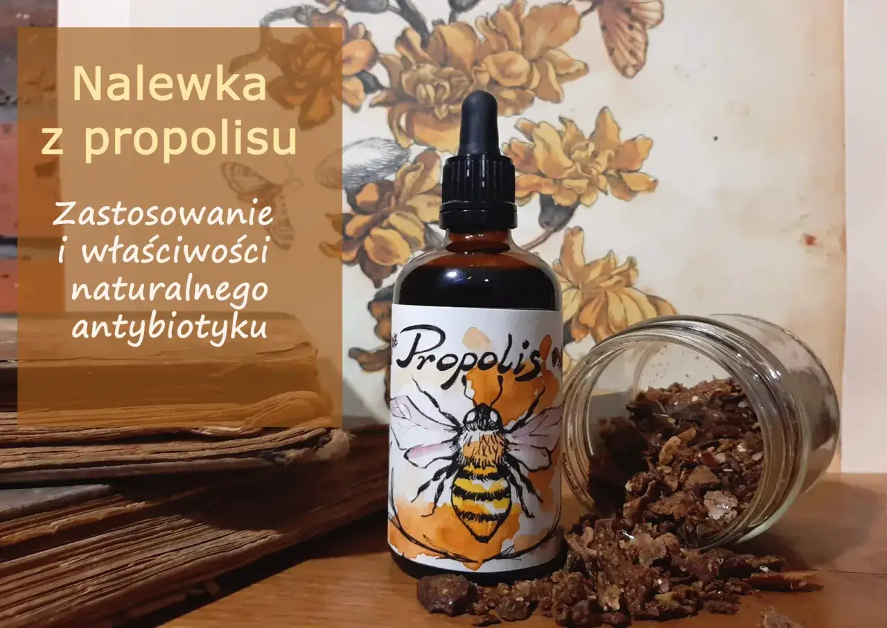 Bezpieczne stosowanie propolisu na spirytusie