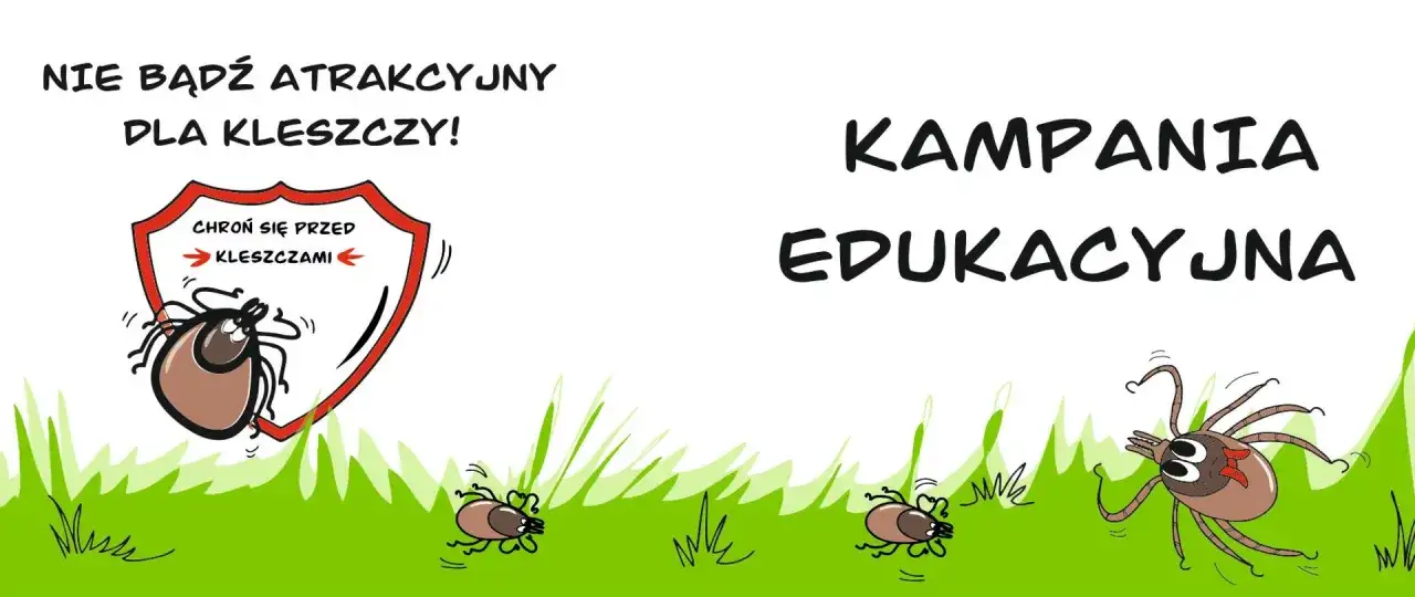Zdjęcie Jak zapobiec boreliozie? Kompletny przewodnik ochrony przed kleszczami